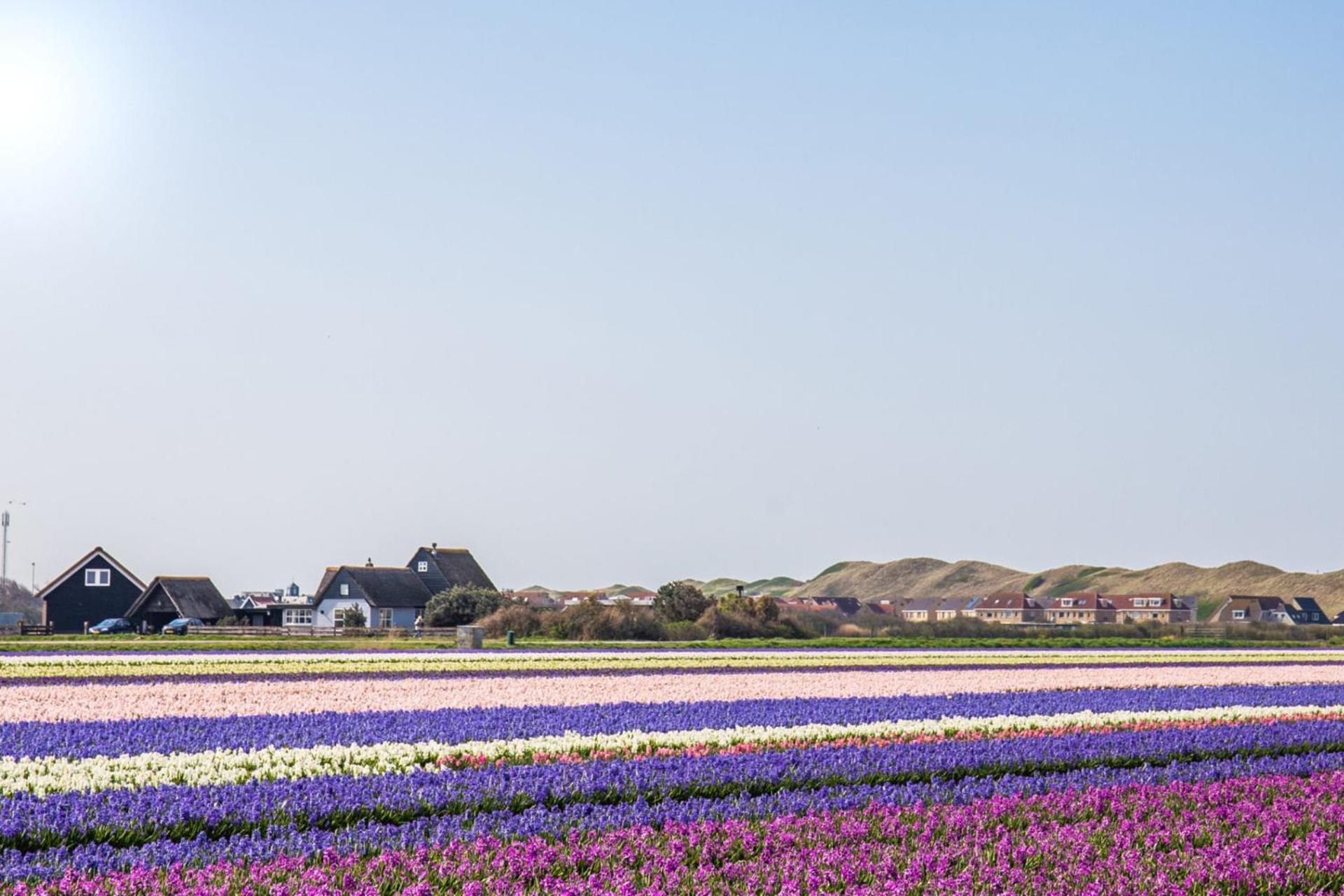 Vakantiehuis Zilt - Julianadorp Aan Zee Zewnętrze zdjęcie